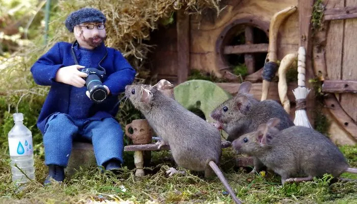 I Built A Little World In My Garden For Mice To Live In, And They're Thriving (30 Pics)