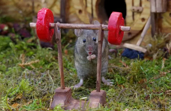 Some Call Him The Mighty Mouse