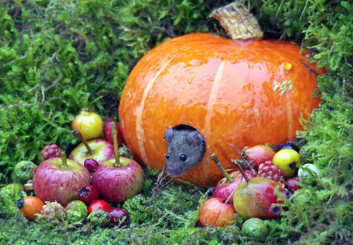 Soon Be That Time Of Year Again