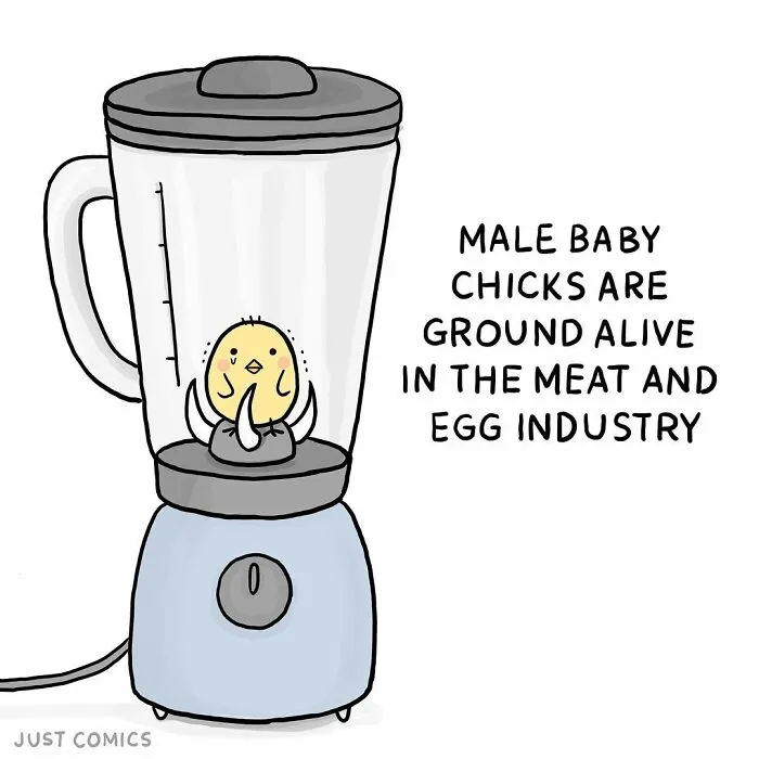 40 Heartbreaking Comics About Animal Abuse And Factory Farming By Joan Chan