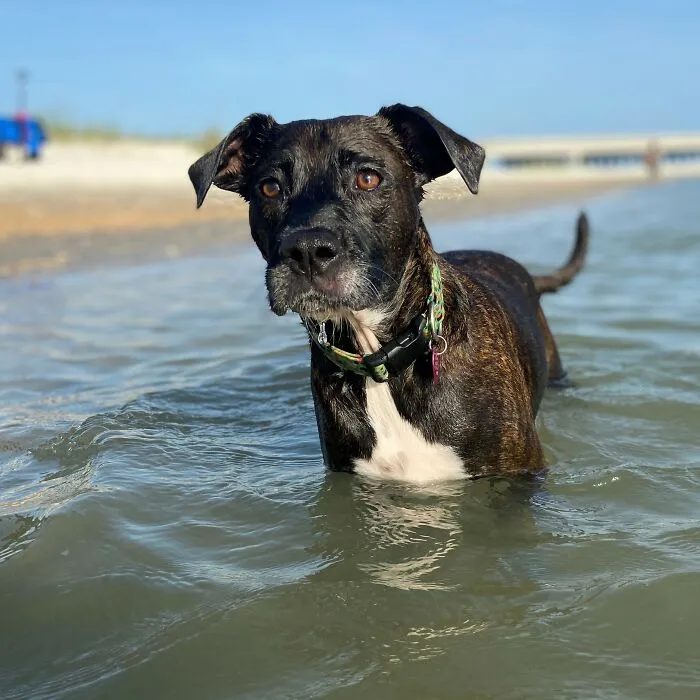 Ball??