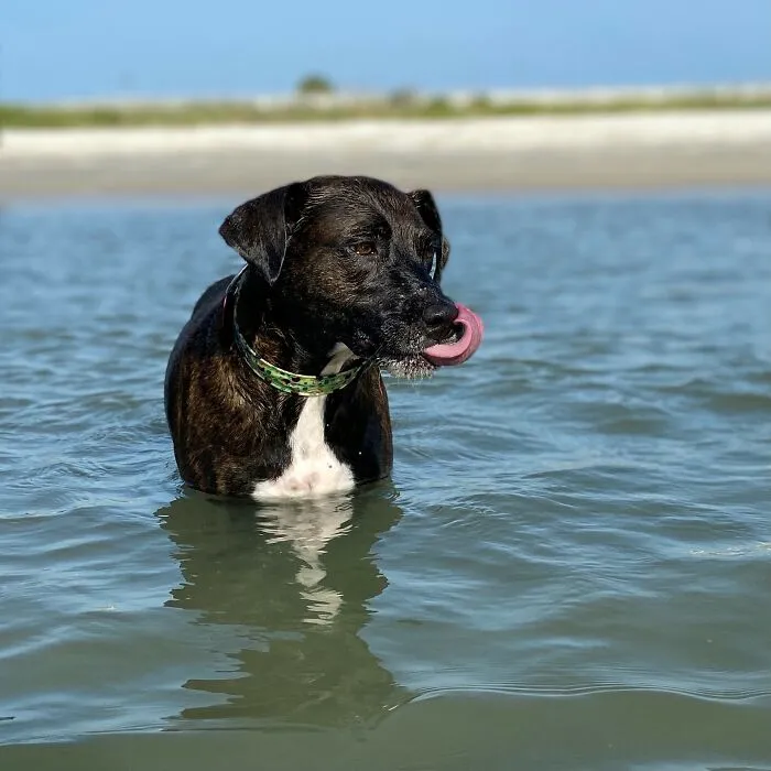 Ginnie Licking Sand Off Her Nose