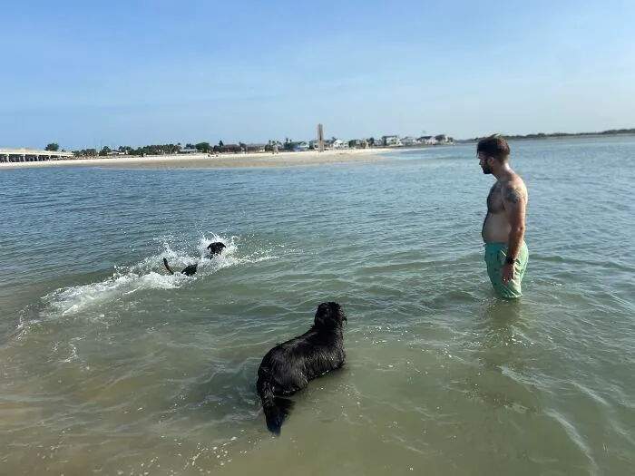 Ginnie Retrieving Her Ball
