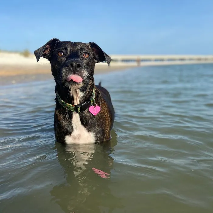 Blep