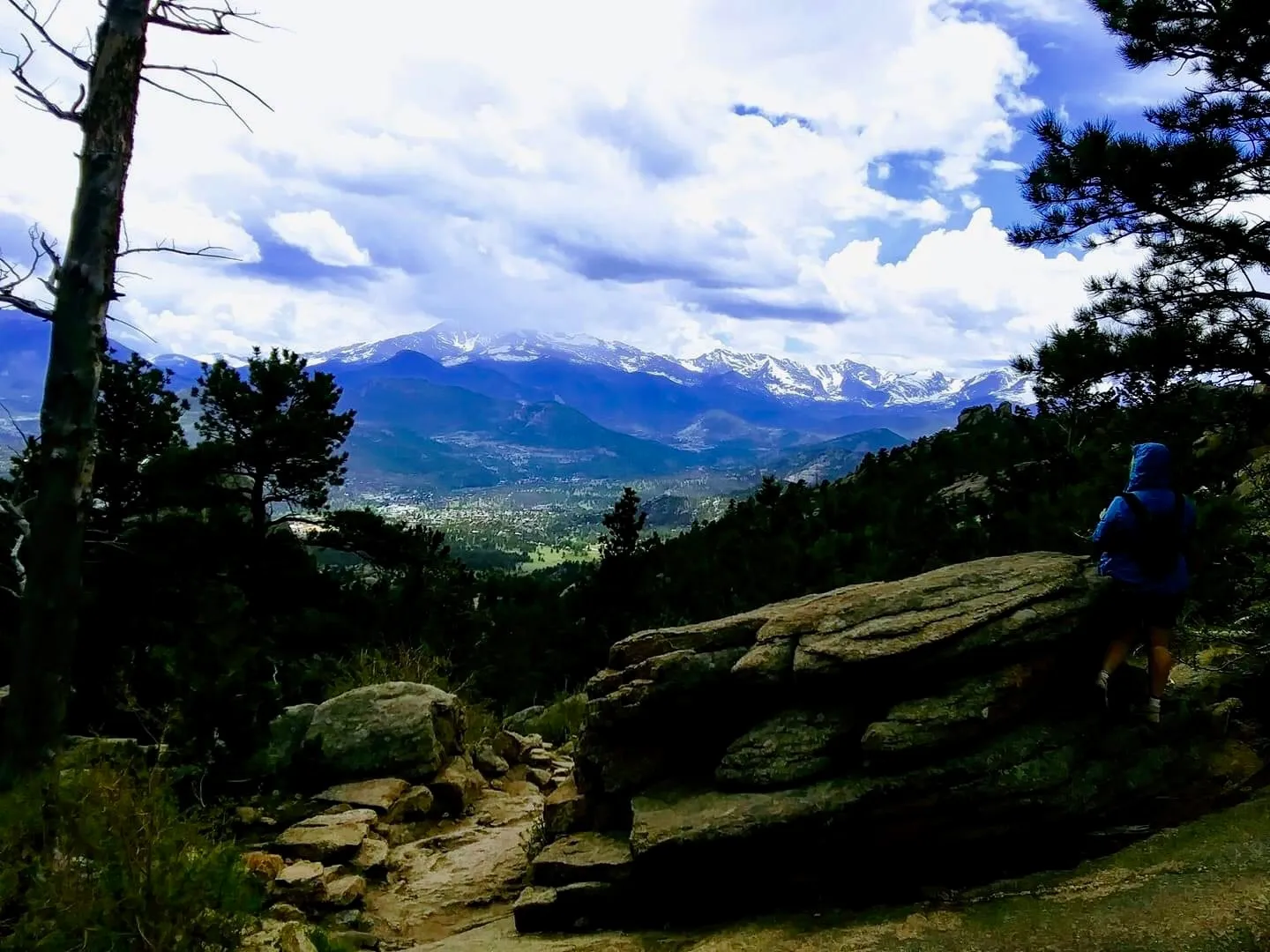 View From My Widow