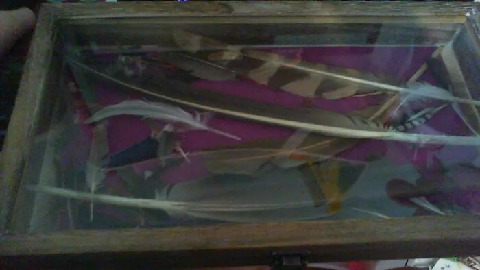 My Bird Feathers