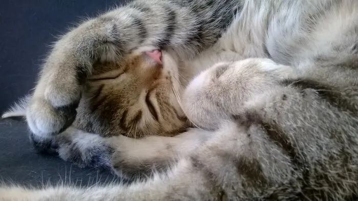 Keoni