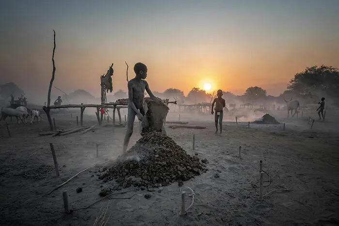 Daily Life In A Mundari Cattle Camp By Johan Gerrits