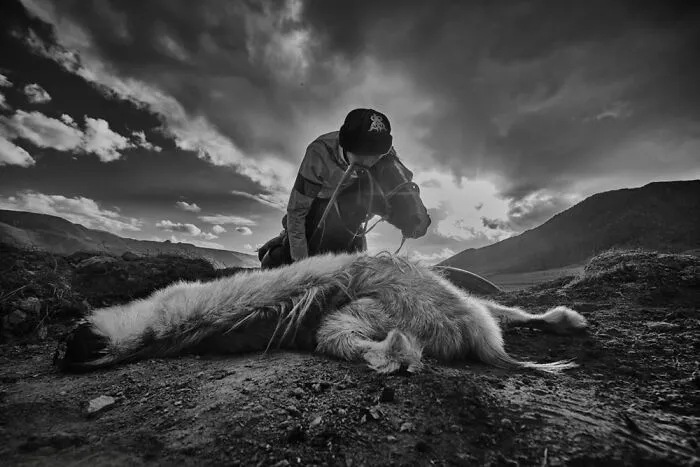 Dead Goat Polo By Alain Schroeder, Second-Place Winner