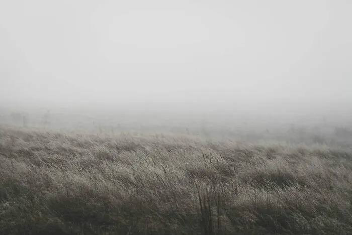 Winter In Woodend By Melissa Stewart