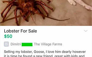 40 Best 'Ads With Threatening Auras' Shared On This Hilarious Facebook Group