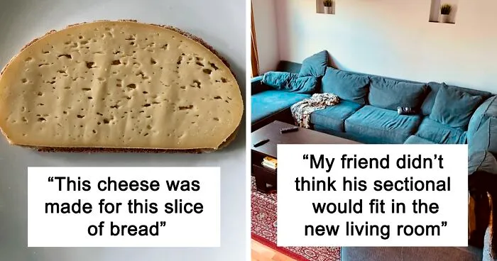 50 Times People Encountered A ‘Perfect Fit’ In Real Life And Just Had To Document It (New Pics)