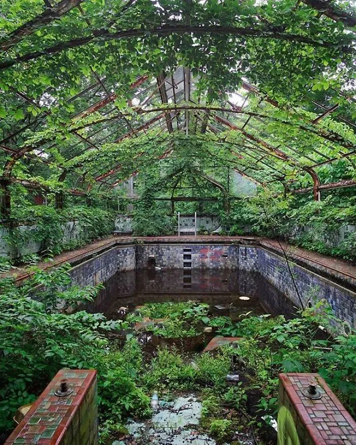 Una piscina con mucha vegetación en una mansión abandonada. Ubicación desconocida