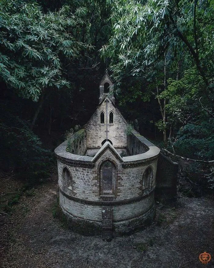 Escondido en el bosque