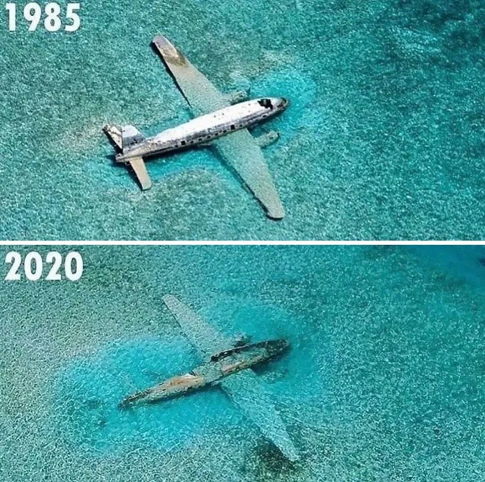 Curtiss C-46 Commando, uno de los aviones de contrabando de drogas de Pablo Escobar / Carlos Lehder cerca de cayo Norman en las Bahamas, después de 35 años sumergido en agua salada