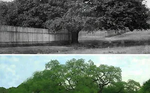 People Are Sharing ‘Then And Now’ Pics On This Page To Show How Time Changes Things (40 New Pics)