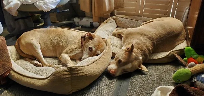 Lexi 13 & Kemmy 11 🥰💕💞💖💞💕🥰