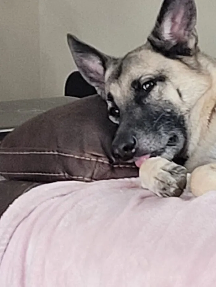 Tongue Out!