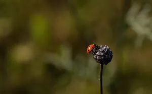 Hey Pandas, Post The Coolest Picture Of An Animal That You've Taken (Closed)