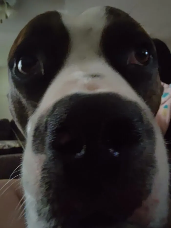Time For A Close Up