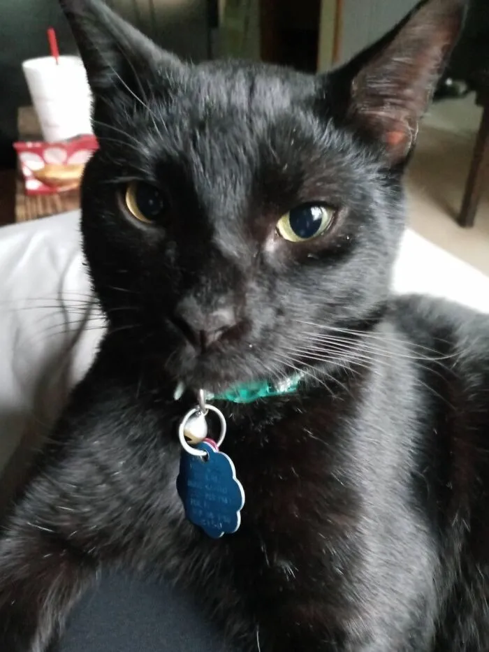 Handsome Heart Shaped Booper