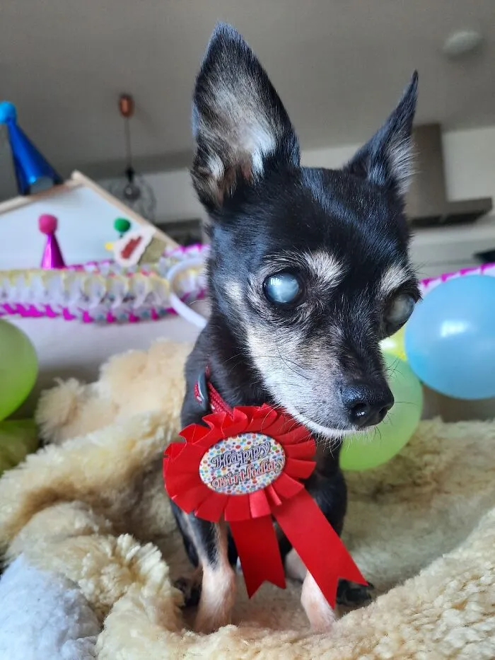 We Celebrated His 17. Birthday
