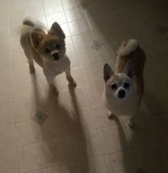 Got Treats?