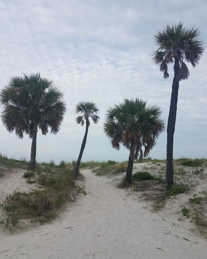 Clearwater, Florida, July 2021