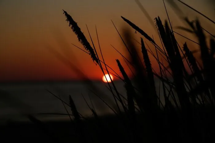 Beautiful Summer Sunset In Latvia