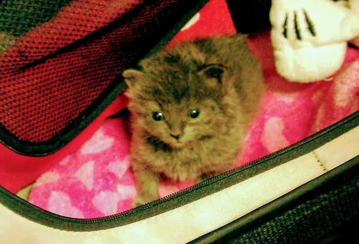 Baby Janis At 2 Weeks Old