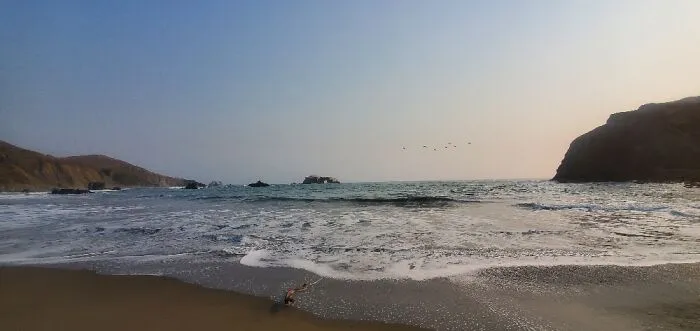 Goat Rock Beach, Sonoma County Ca