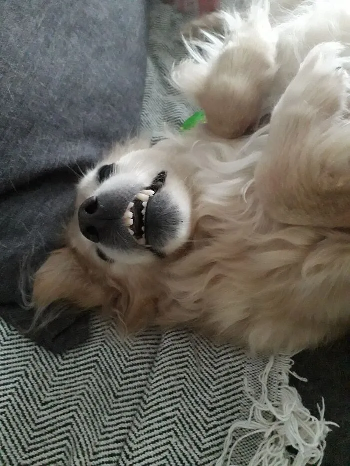 Caught Mid-Playing