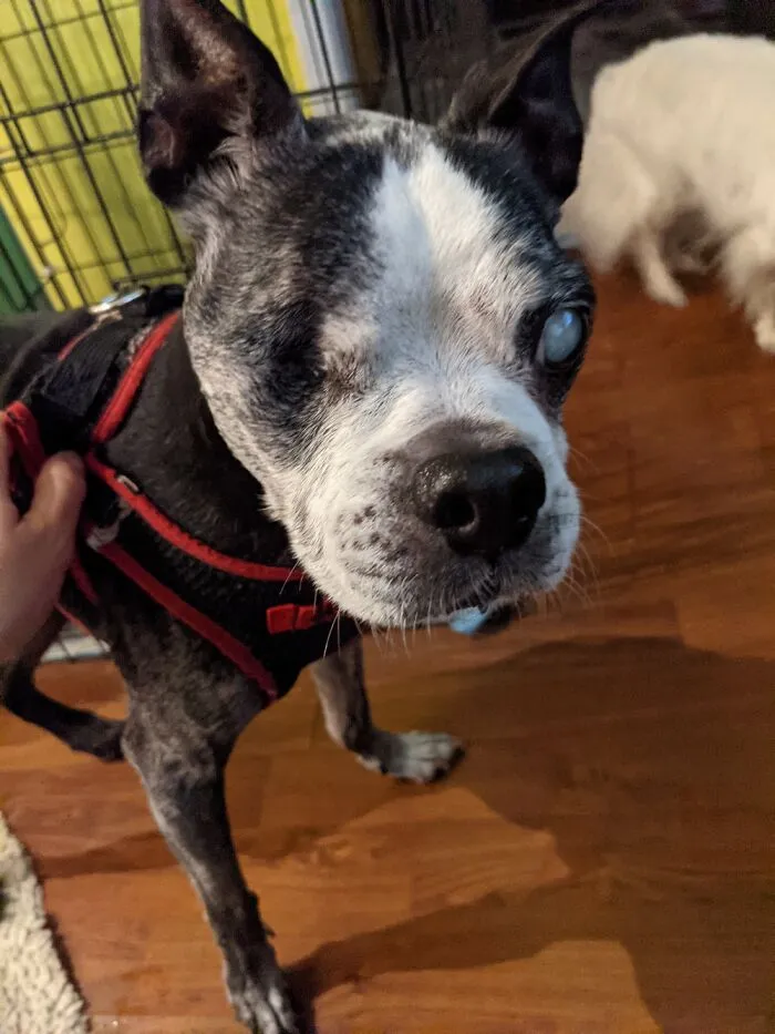 Sam Will Be 16 In A Few Months. I Love Him Forever
