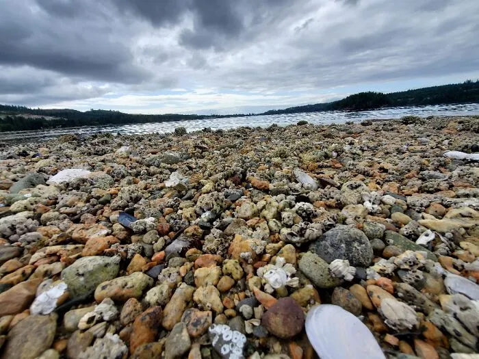 Porpoise Bay, Bc