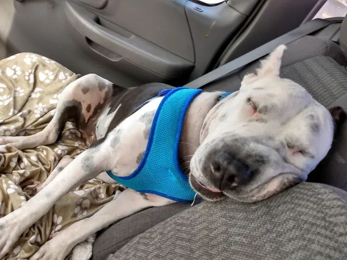 My Sleeping Beauty.