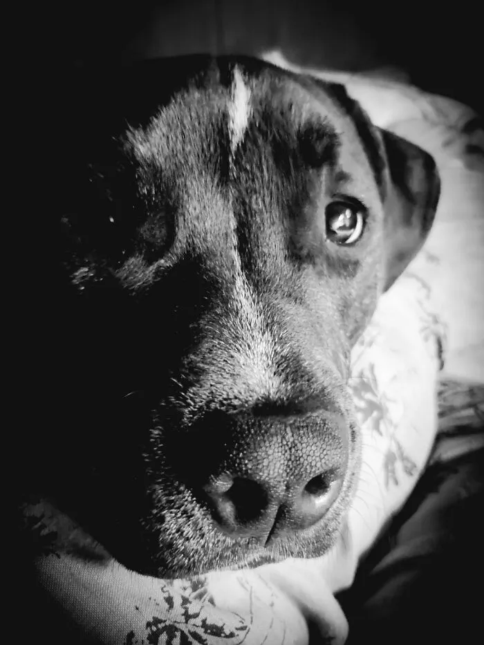 Benny