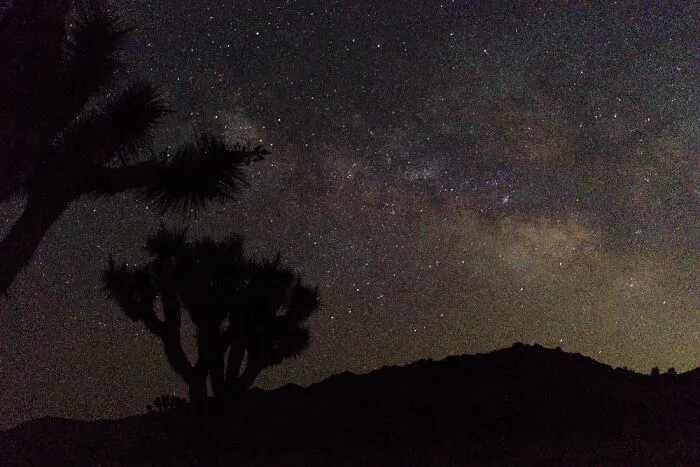 Joshua Tree National Park