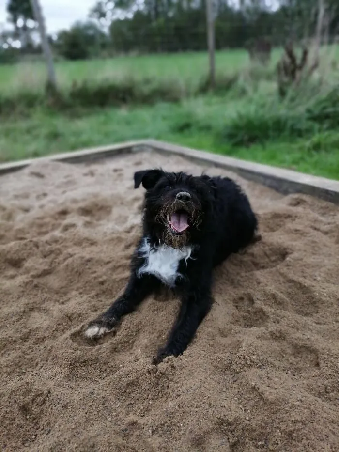 My Girl Daisy, Always Living Her Best Life