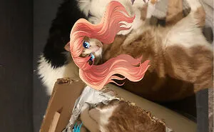 Hey Pandas, Photoshop These Cats (Closed)