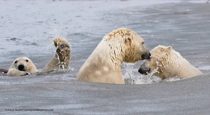 The Photo-Bombing Wave