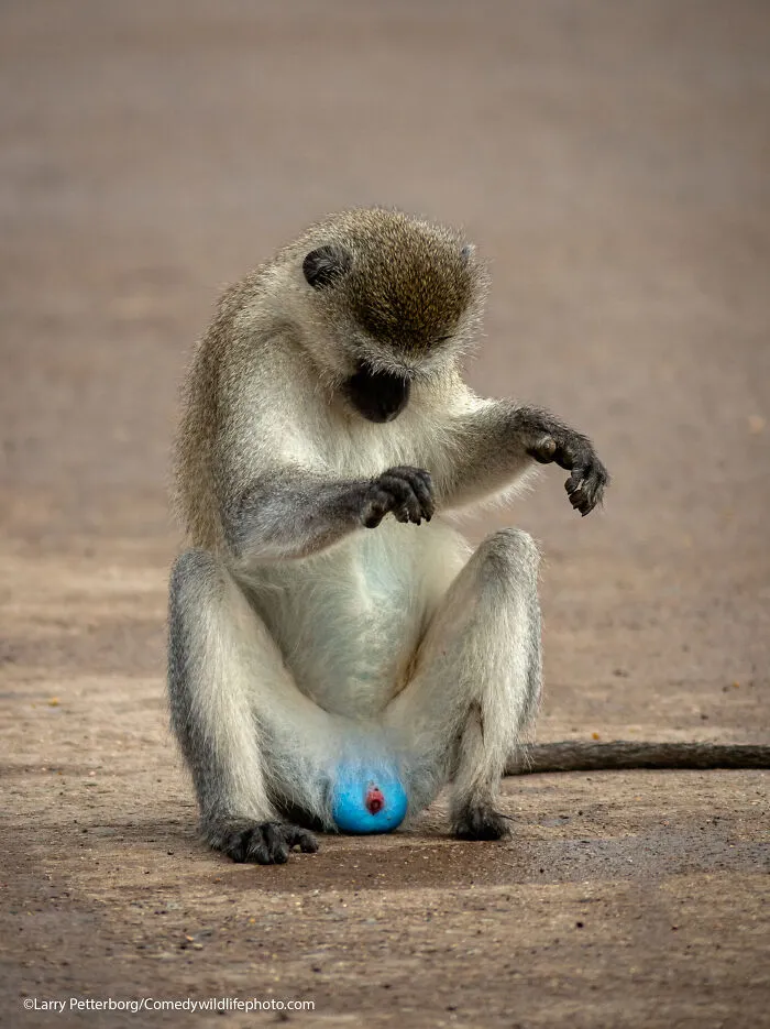 Just Checking