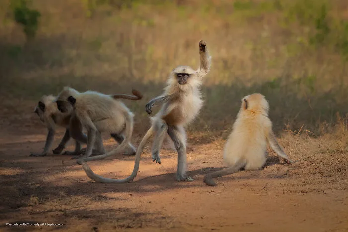 Dancing Away To Glory