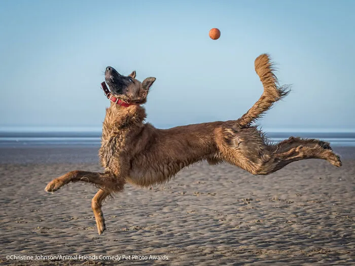Boing por Christine Johnson