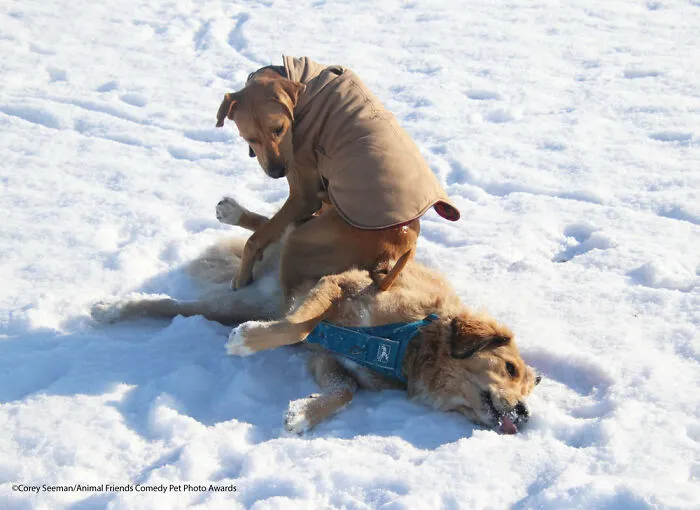 A Warm Spot On A Cold Day By Corey Seeman