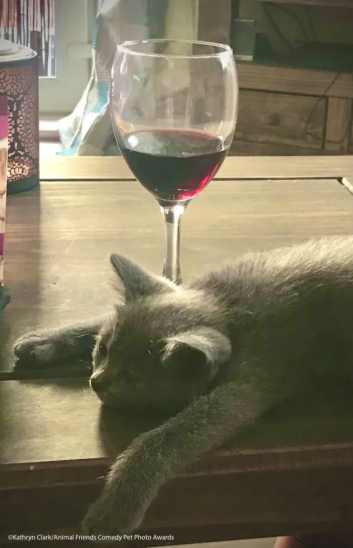 ¡Hora del vino! Por Kathryn Clark