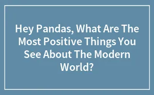 "What Are The Most Positive Things You See About The Modern World?": 35 Replies By The Bored Panda Community