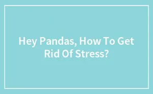 Hey Pandas, How To Get Rid Of Stress? (Closed)