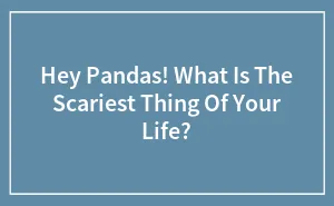 Hey Pandas! What Is The Scariest Thing Of Your Life?