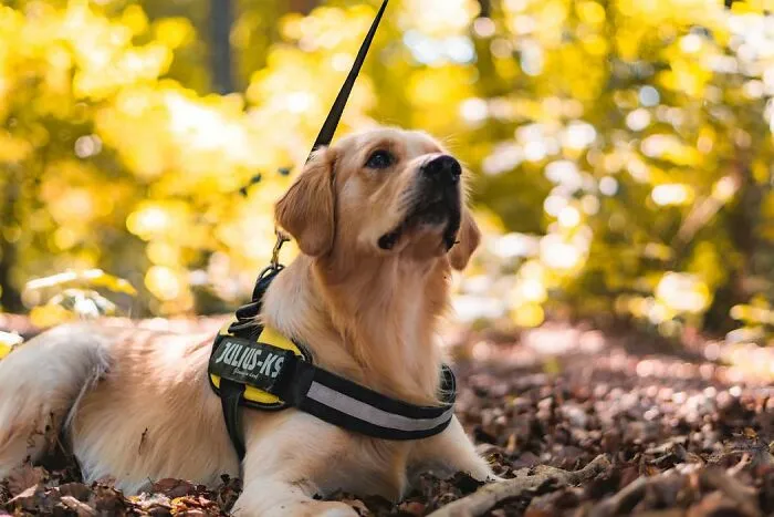 35 People Are Sharing Clever Tips That Could One Day Save Your Life