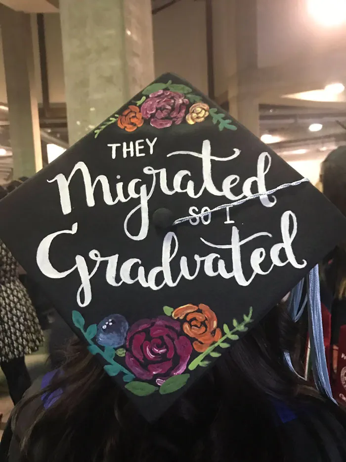 They Migrated So I Graduated